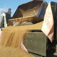 Военнослужащие продолжают оказывать помощь сельским труженикам в уборочной страде