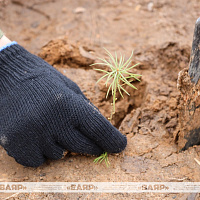 Военнослужащие командования и подразделений ССО приняли участие в акции «Лес! Дабро! Парадак!»