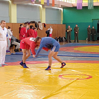 Республиканский турнир по самбо
