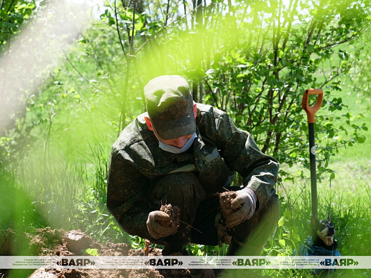 Поисковые работы 52 оспб