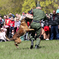 В столичном парке Победы прошли торжественные мероприятия	