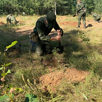 В рамках «курса молодого бойца»	