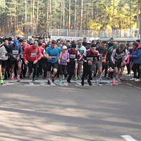 По доброй традиции - ежегодный легкоатлетический кросс! 