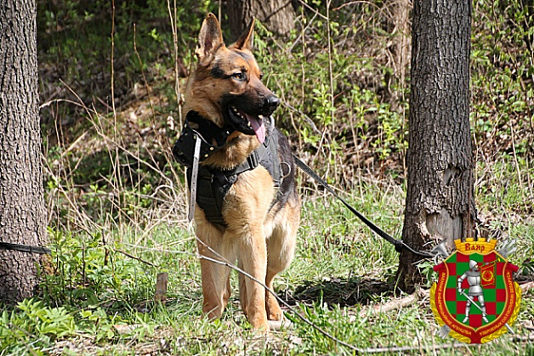 Впереди — «Верный друг» (видео)