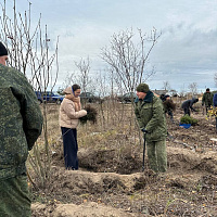 Белорусские военные продолжают участвовать в республиканской акции «Дай лесу новае жыццё!»