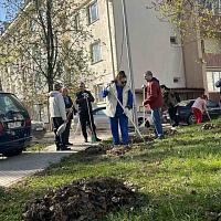 Поработали сообща