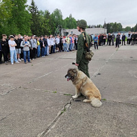 В гостях у военных кинологов