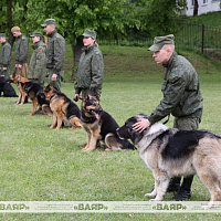 Торжественное открытие военно-патриотического клуба «Верный друг»