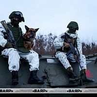 Белорусские военнослужащие продолжают выполнять задачи по усилению охраны госграницы