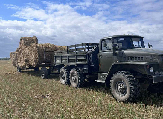 Военнослужащие продолжают оказывать помощь в уборке урожая