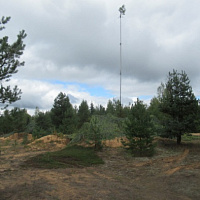 Задачи выполнять готовы