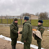 С поставленной задачей справились