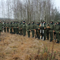 Полученные навыки бесценны