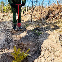 Военнослужащие инженерного полка СЗОК приняли участие в добровольной общественной акции «Лес. Дабро, Парадак»
