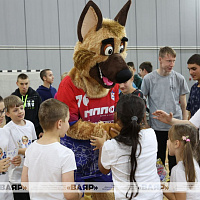 Очередной этап волонтёрского проекта «В мире армейского спорта»