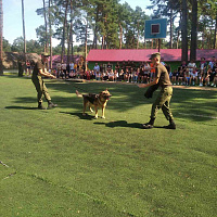 «Зарница» для юных патриотов
