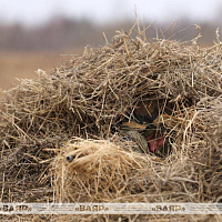 Патрулирование и засадные действия в занятом районе