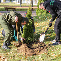 Доброе дело