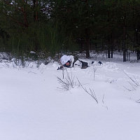 Занятия по огневой подготовке