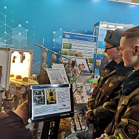 «Беларусь интеллектуальная»