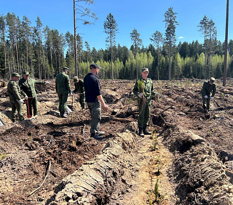 Военнослужащие инженерного полка СЗОК приняли участие в акции «Дай лесу новае жыццё»