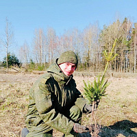 Военнослужащие 15 зрбр приняли участие в акции «Дай лесу новае жыццё!»