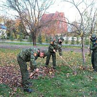 Совместными усилиями