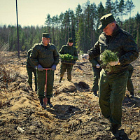 Военнослужащие 36-й дорожно-мостовой и 65-й автомобильной бригад приняли участие в акции «Дай лесу новае жыццё!»
