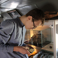 В рамках военно-патриотического воспитания