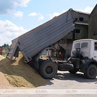 Военнослужащие присоединились к уборке урожая