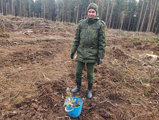 Военнослужащие 86 брс присоединились к акции «Дай лесу новае жыццё!»