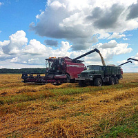 Военнослужащие продолжают помогать аграриям в уборке урожая