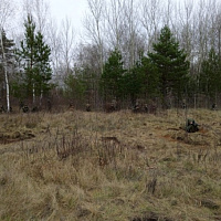 Тактическая подготовка на местности с новым пополнением