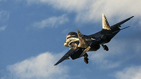 ВВС Польши возобновили эксплуатацию истребителей МиГ-29