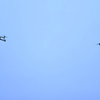 Сбор с операторами беспилотных летательных аппаратов проходит в 38 одшбр