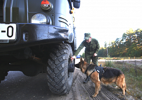 Действия оперативных командований, соединений и воинских частей на полигонах