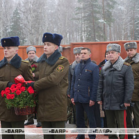 С ответным визитом