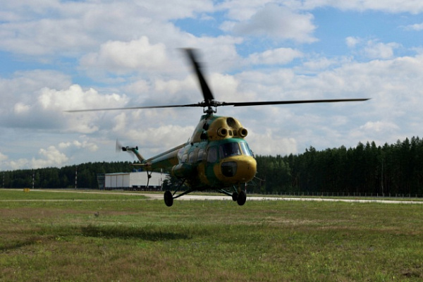 Небо — их стихия