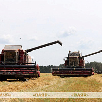 Военные водители помогают убирать урожай в хозяйствах Гомельской области
