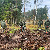 Военнослужащие 120 омбр приняли участие в акции «Дай лесу новае жыццё»