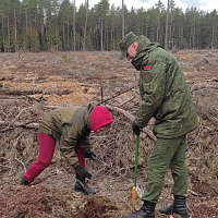 Нужное и важное дело