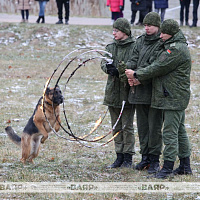 На «Линии Сталина» прошли праздничные мероприятия, посвящённые Дню ракетных войск и артиллерии