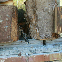 С курсантами Военной академии Республики Беларусь прошли занятия по тактической подготовке