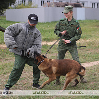 В кинологическом центре Вооружённых Сил Республики Беларусь прошёл день открытых дверей