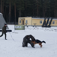День открытых дверей прошел во 2-й инженерной бригаде