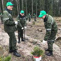 «Неделя леса»