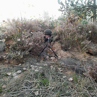 Задачи выполнили