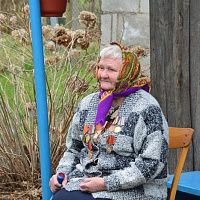 «Цветы Великой Победы»