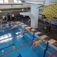 Сила, выносливость, точность