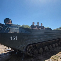 Успешно выполняют задачи